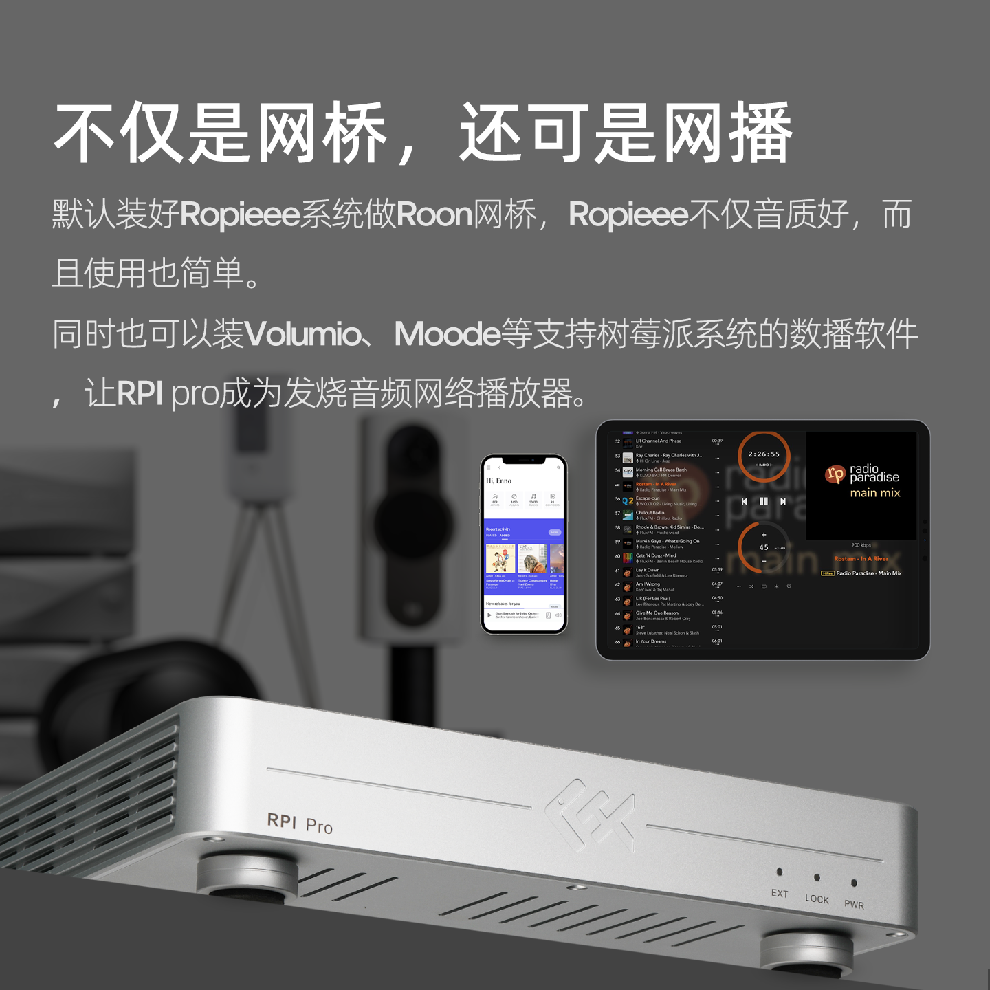 Tiger Fish Audio RPI Pro Strea - Audio Music Network recensione e prezzo
