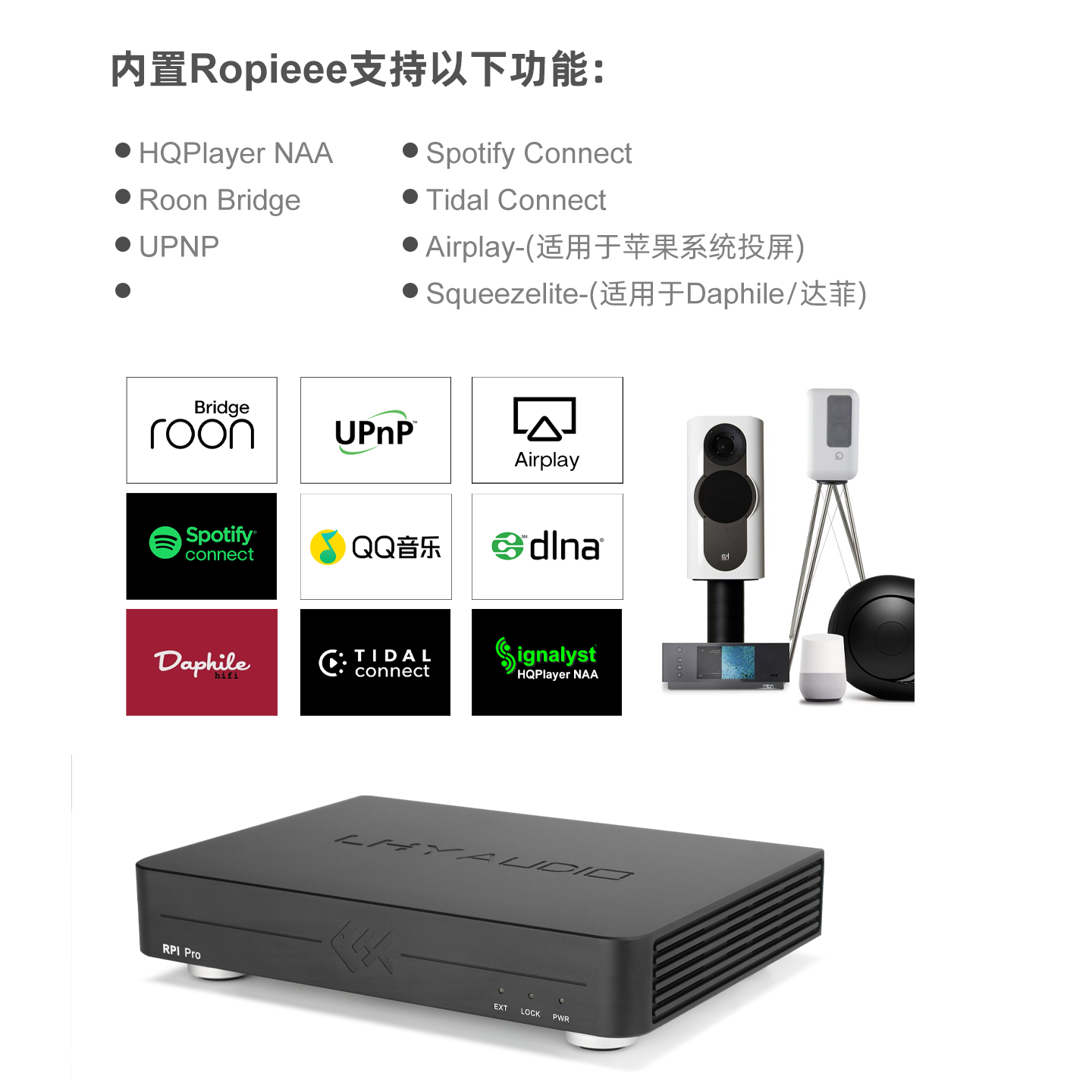 Tiger Fish Audio RPI Pro Strea - Audio Music Network recensione e prezzo