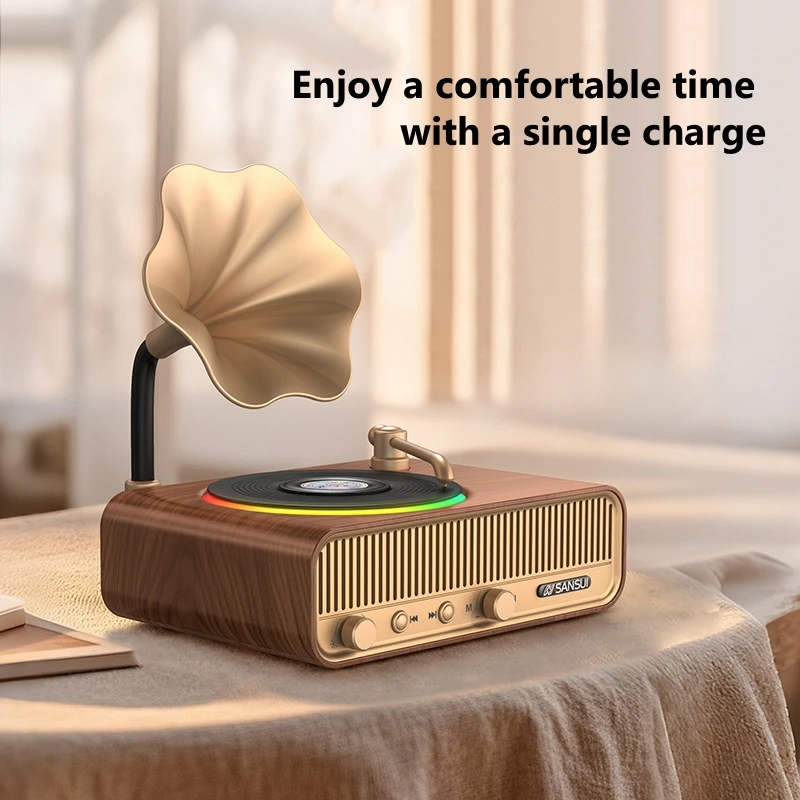 V13 Wireless Bluetooth Speaker - Apple Music Audio Quality recensione e prezzo
