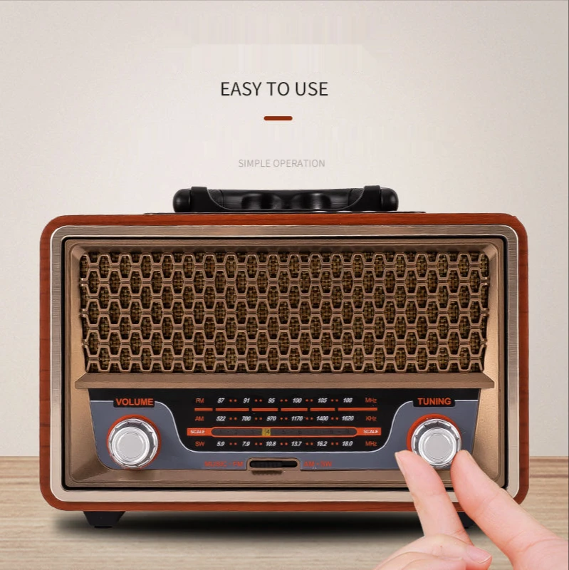 High-Quality Wooden Portable R - Apple Music Audio Quality recensione e prezzo