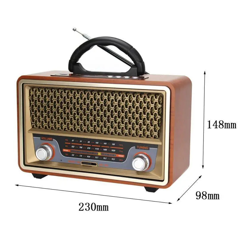 High-Quality Wooden Portable R - Apple Music Audio Quality recensione e prezzo