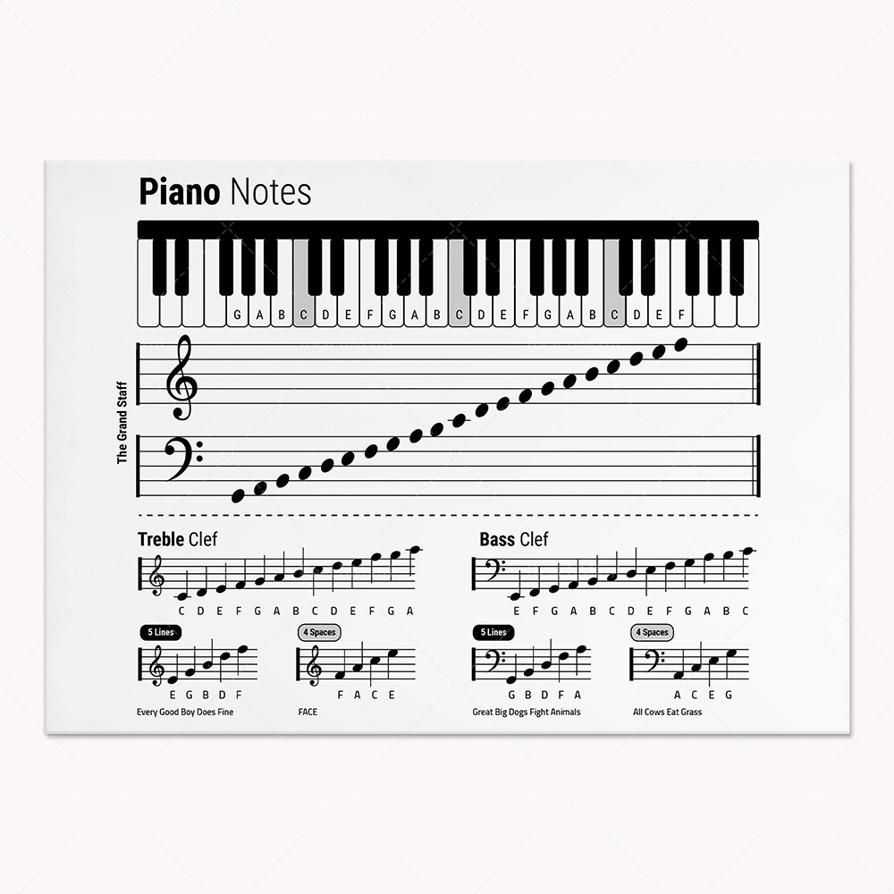 Guitar theory, piano, audio sp - Audio To Music Sheet recensione e prezzo